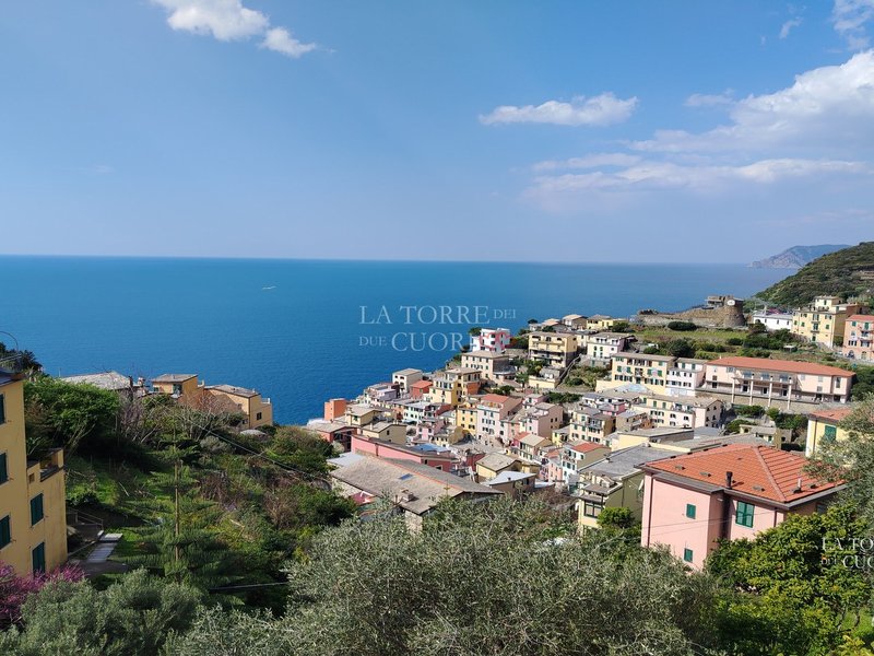 Vista panoramica di Riomaggiore, dove le case colorate incontrano il blu del Mar Ligure.